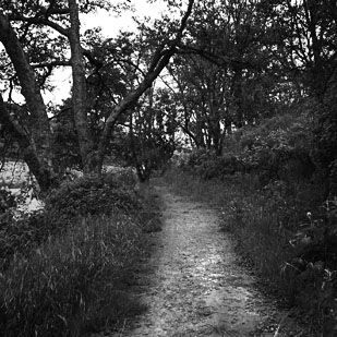 Imagen del Banner Odoo